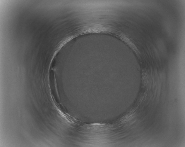 X0000068270626200604241258