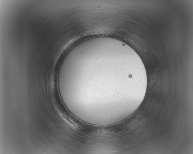 X0000068270632200604241259