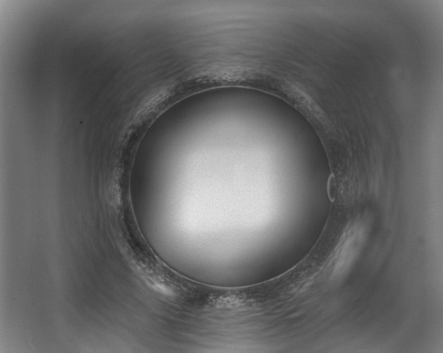 X0000068270635200604241259