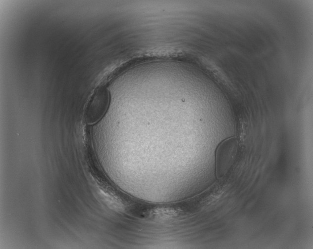 X0000068270636200604241259