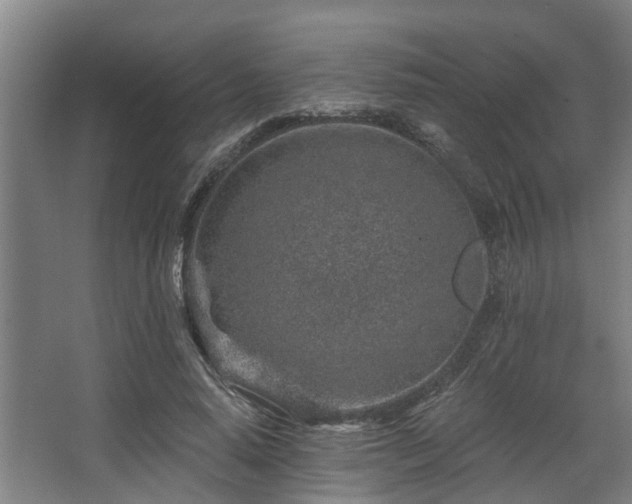 X0000068270640200604241259