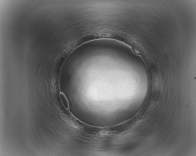 X0000068270641200604241259