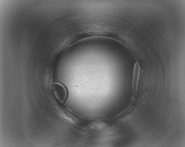 X0000068270642200604241259