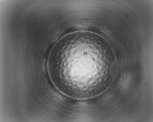 X0000068270649200604241259