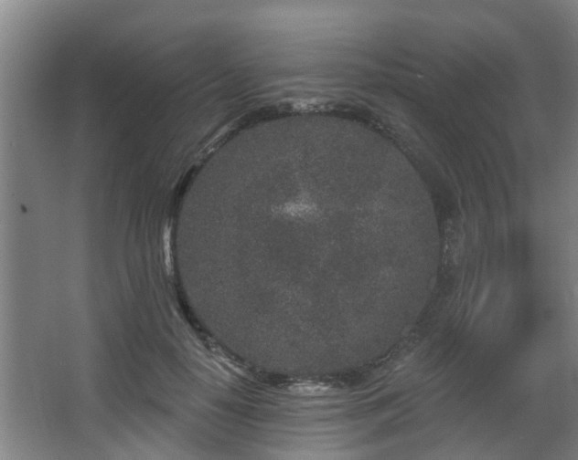 X0000068270650200604241259