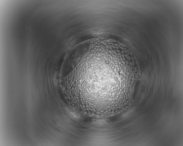 X0000068270671200604241259