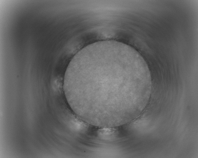 X0000068270672200604241259