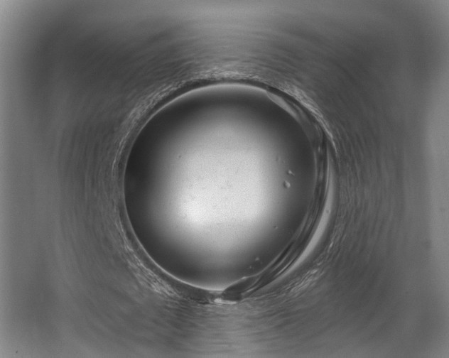 X0000068270673200604241258