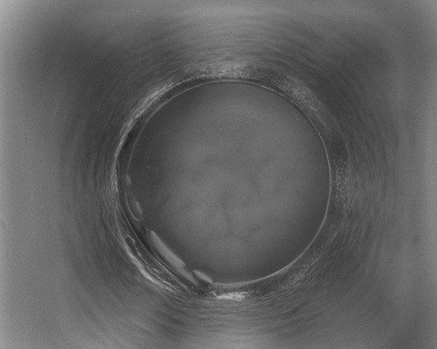 X0000068270674200604241258