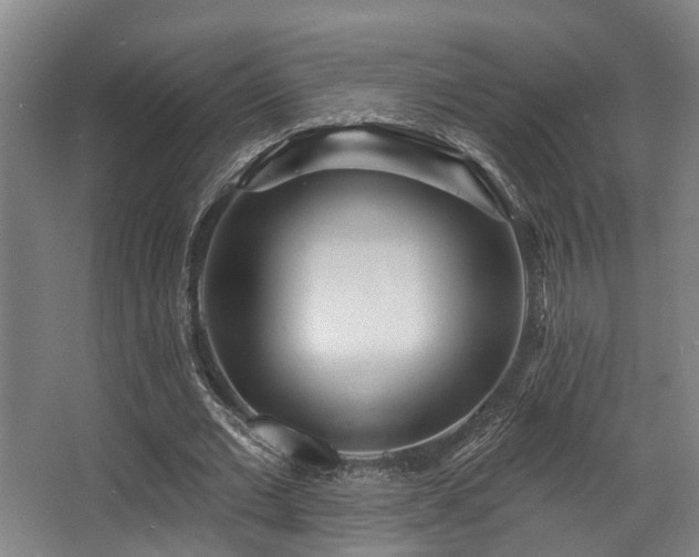 X0000068270677200604241258