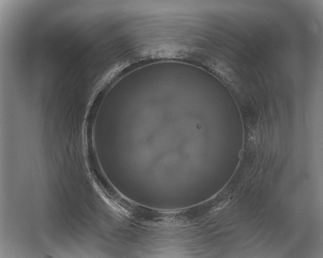 X0000068270678200604241258