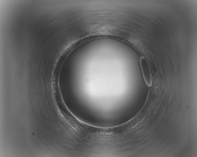 X0000068270680200604241258