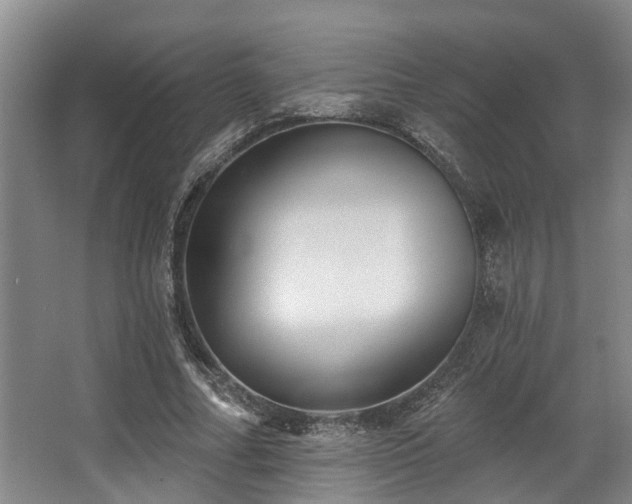 X0000068270682200604241258