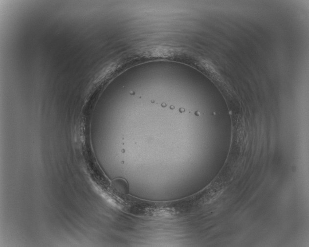 X0000068270683200604241258