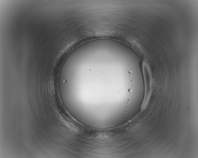 X0000068270684200604241258