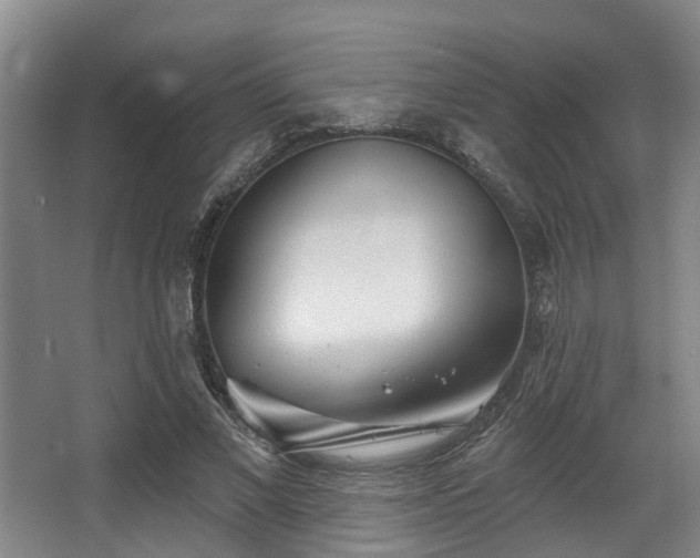 X0000068270685200604241258