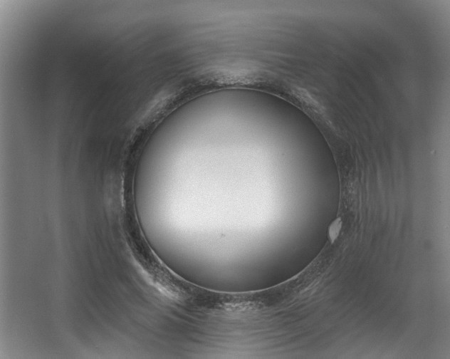 X0000068270686200604241258