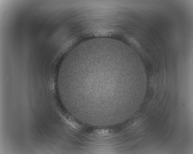 X0000068270687200604241258