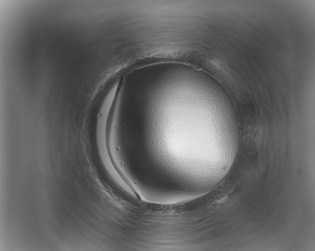 X0000068270688200604241258