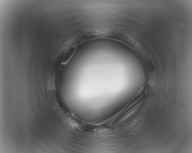 X0000068270689200604241258