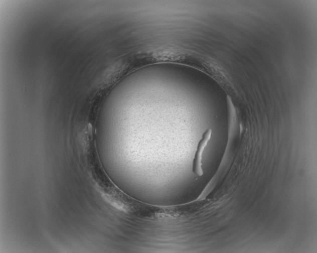 X0000068270690200604241258