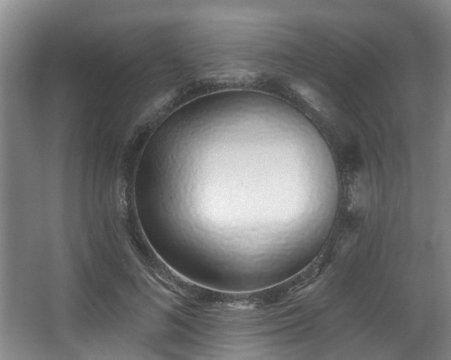 X0000068270692200604241258