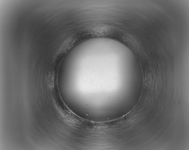 X0000068270694200604241258