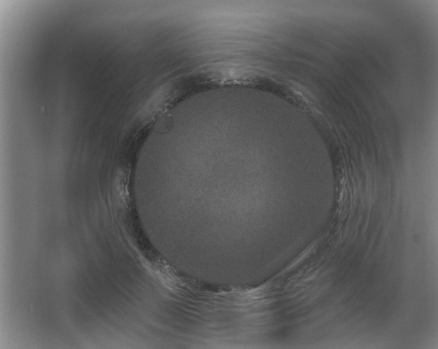 X0000068270695200604241258