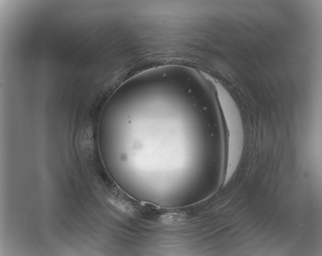 X0000068270700200604241258