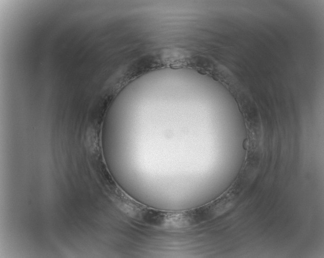 X0000068270705200604241258