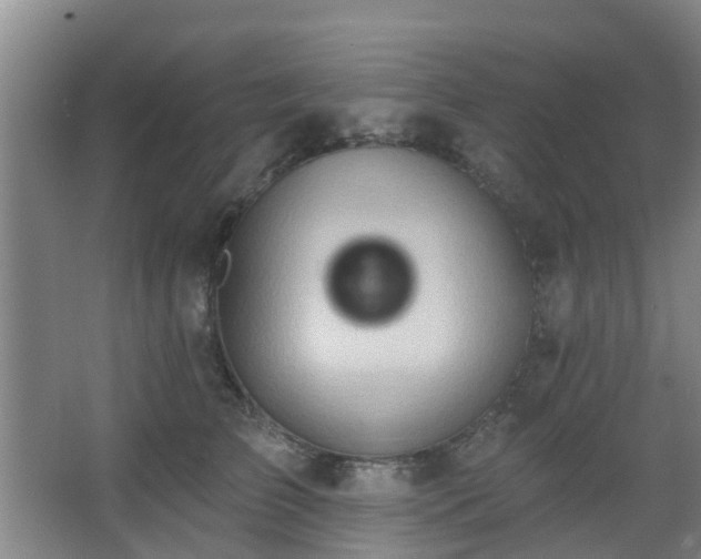 X0000068270709200604241258