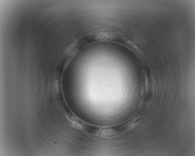 X0000068270716200604241258