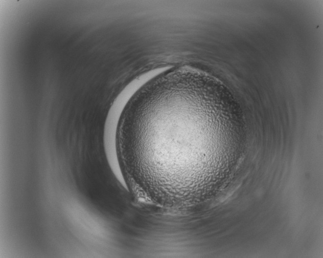 X0000068270720200604241258