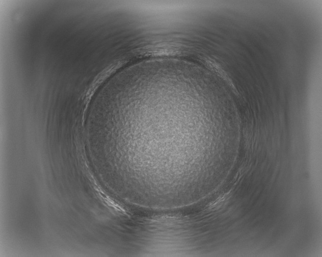 X0000068270721200604241257