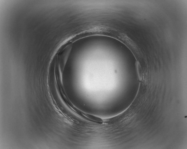 X0000068270724200604241257