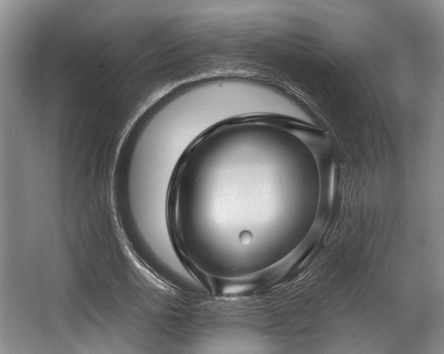 X0000068270726200604241257