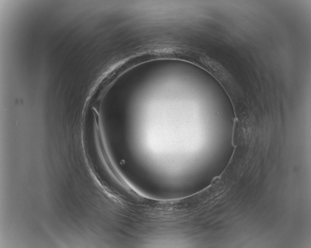 X0000068270728200604241257