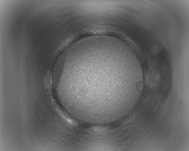 X0000068270733200604241257