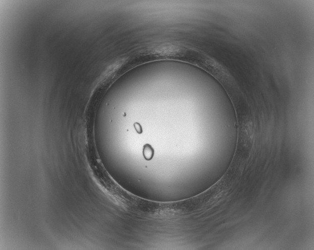 X0000068270734200604241257