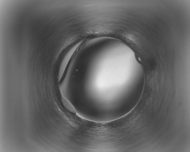 X0000068270735200604241257