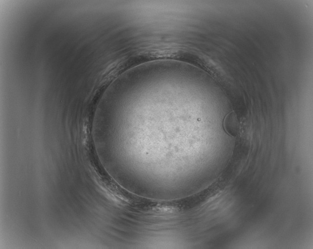 X0000068270741200604241257