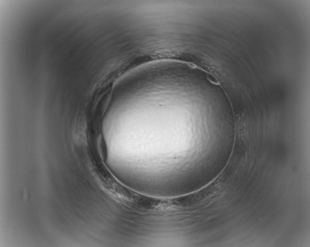 X0000068270742200604241257