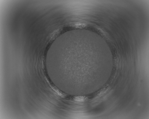 X0000068270757200604241257