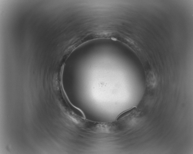 X0000068270764200604241258