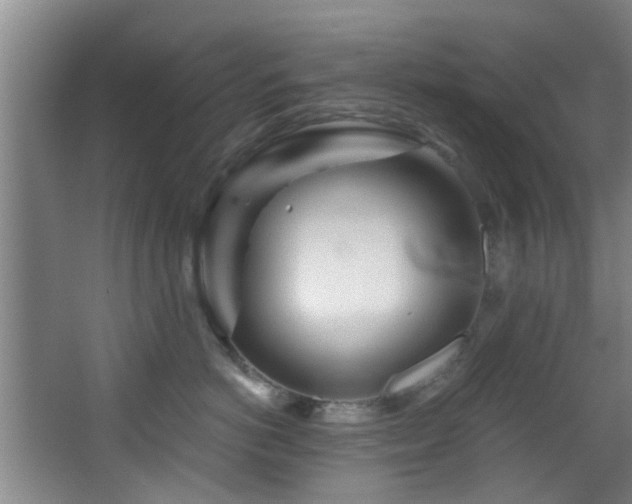 X0000068270766200604241258