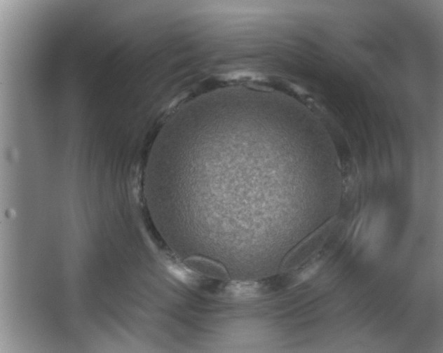 X0000068270767200604241258