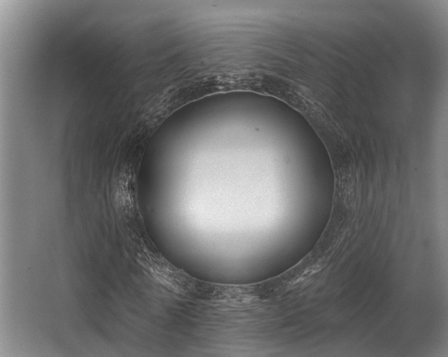 X0000068270770200604241257