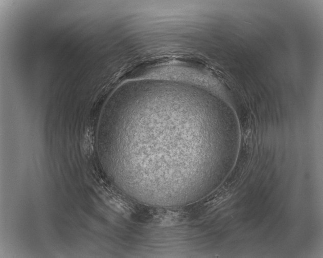 X0000068270772200604241257