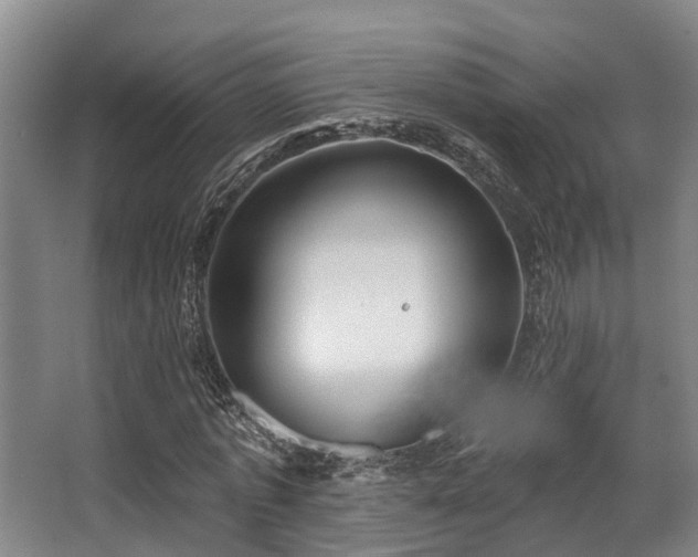 X0000068270773200604241257