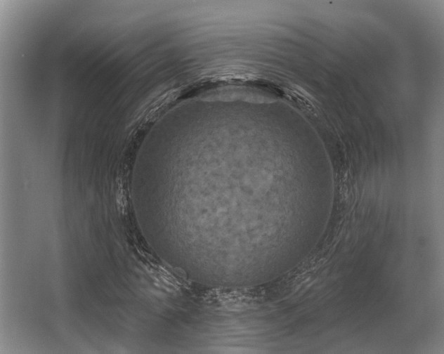 X0000068270774200604241257